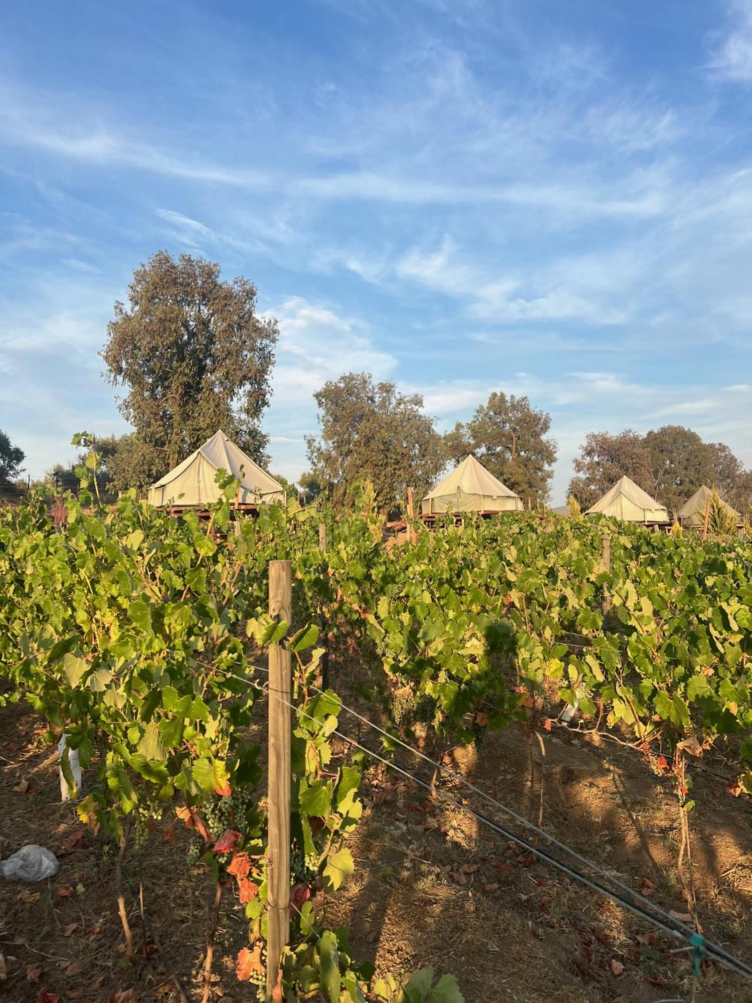 Lago Valle Wine Glamping Valle de Guadalupe Exterior foto